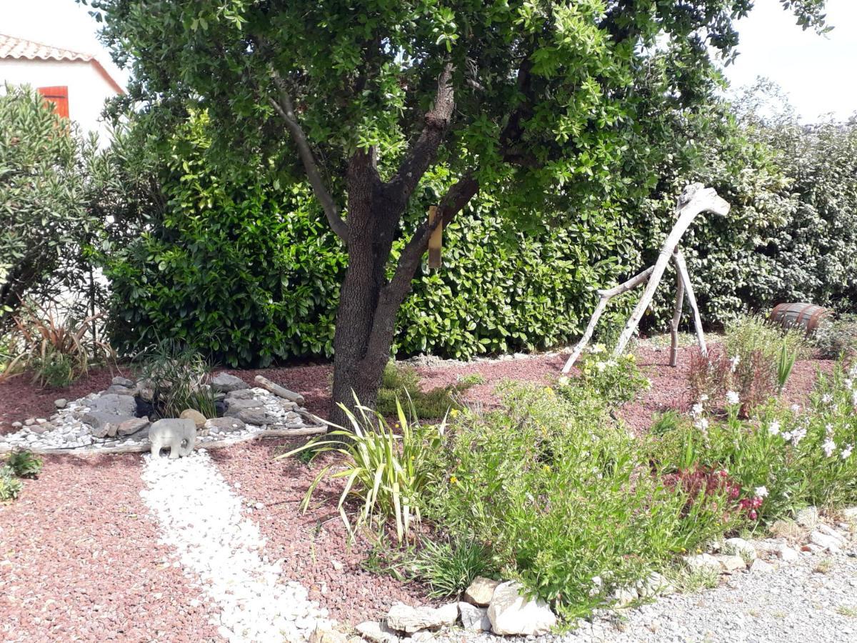 Domaine De La Clotte Bed and Breakfast Roquefort-des-Corbières Exteriör bild
